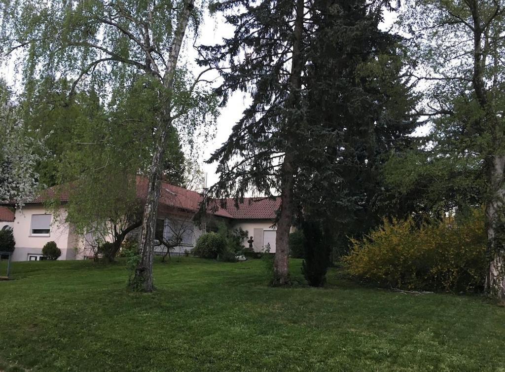 Schoene Ferienwohnung 2,5 Zimmer In Stadtnaehe Mit Eigenem Hofgarten Balingen Exterior photo